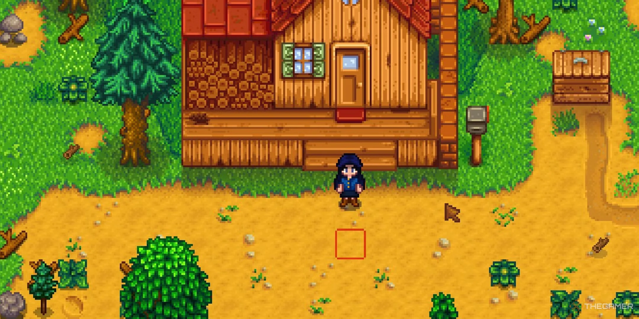 Stardew Valley. Joueur debout sur la ferme le premier jour.